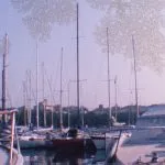 film, Emulsionsschaden, digitalisierten, Reinigung, transferierten, Schimmel