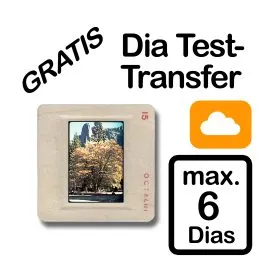 Dia Test-Transfer